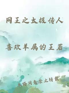 网王之太极传人