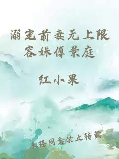 溺宠前妻无上限容姝傅景庭